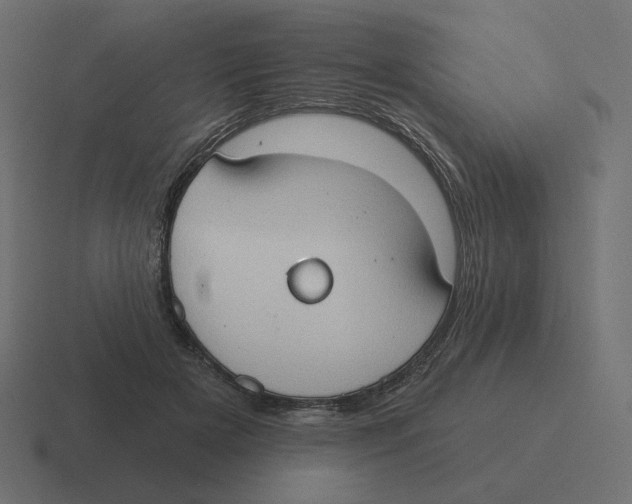 X0000116510505200912292147