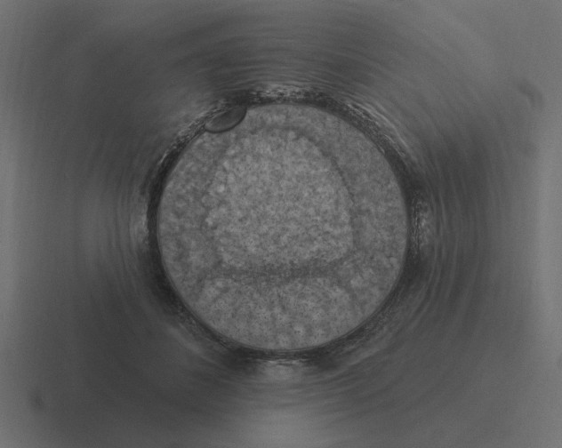 X0000116510508200912292147