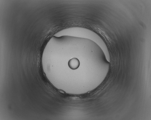 X0000116510509200912292147