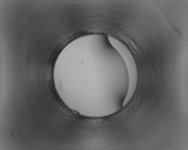 X0000116510517200912292147