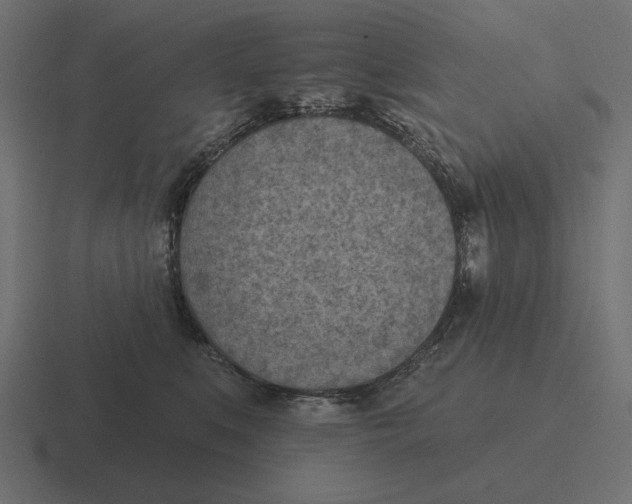 X0000116510519200912292147