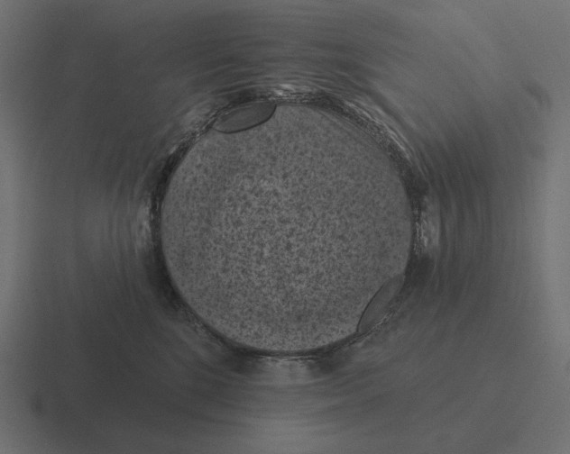 X0000116510520200912292147