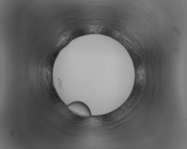 X0000116510522200912292147