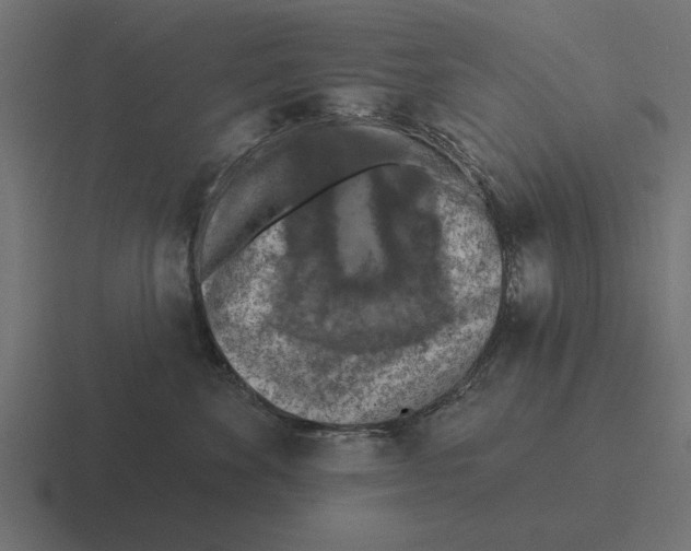 X0000116510524200912292147