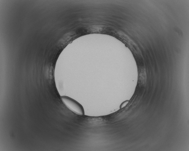 X0000116510525200912292147