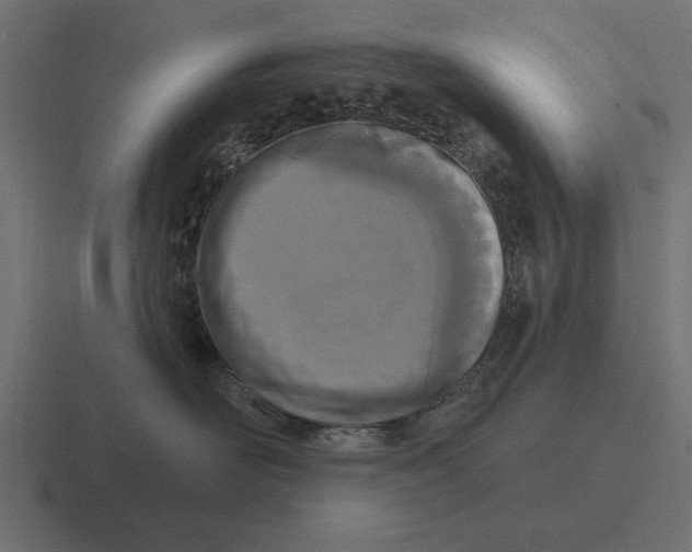 X0000116510526200912292147