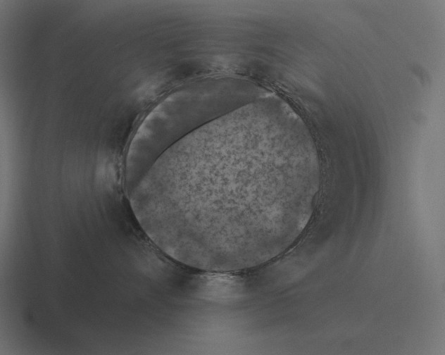 X0000116510528200912292146