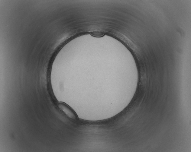 X0000116510530200912292146