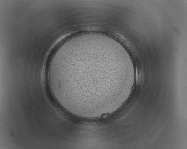 X0000116510531200912292146