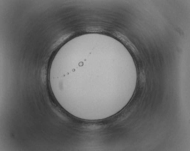 X0000116510533200912292146