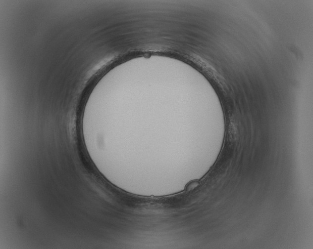 X0000116510535200912292146