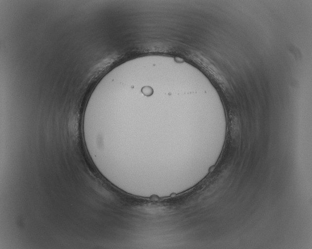 X0000116510537200912292146