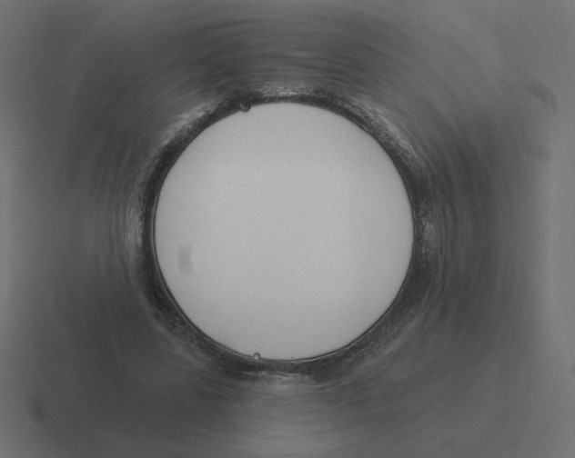 X0000116510539200912292146