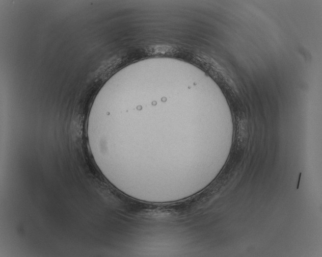 X0000116510545200912292146