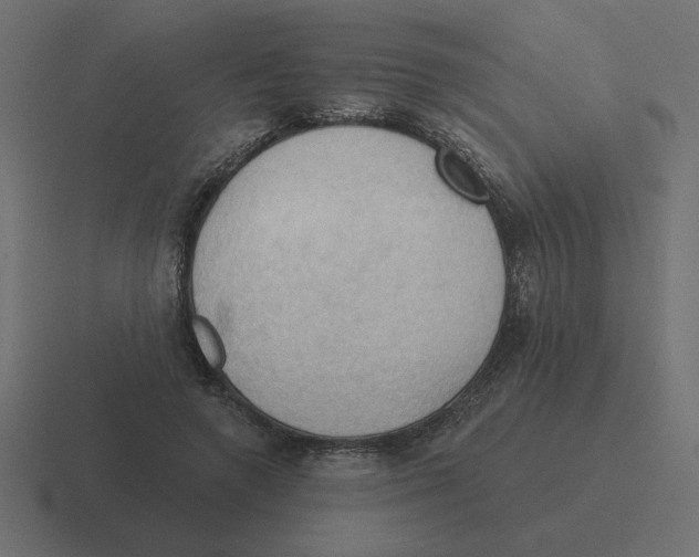 X0000116510546200912292146