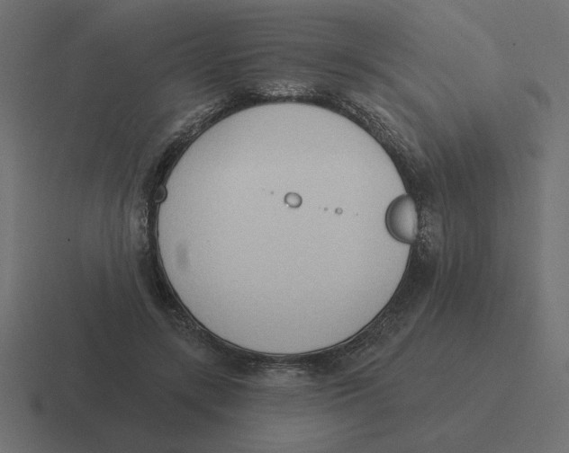 X0000116510547200912292146