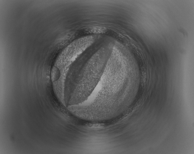 X0000116510553200912292146