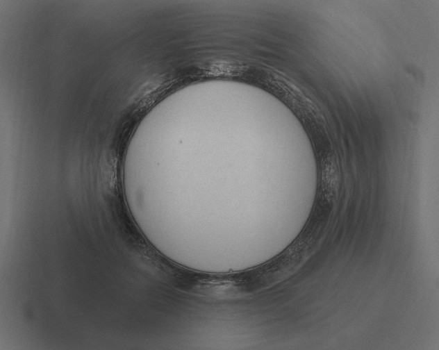 X0000116510554200912292146