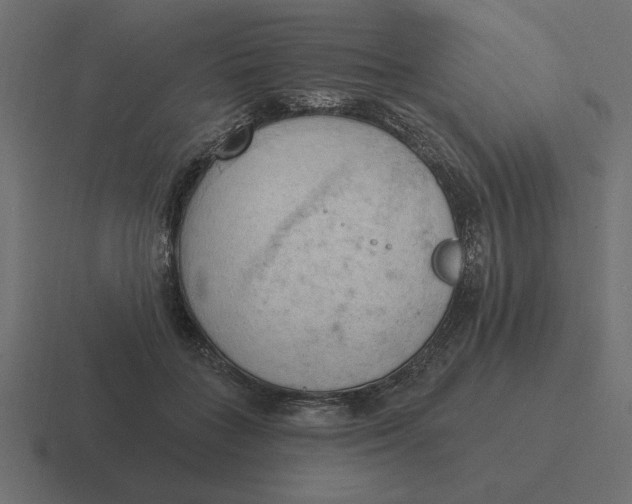 X0000116510555200912292146