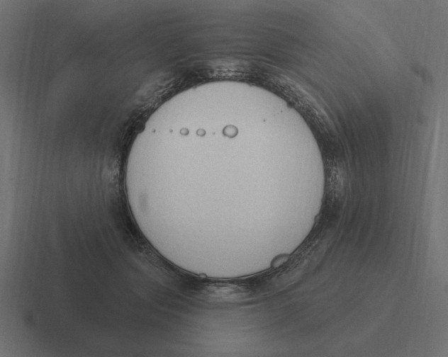 X0000116510557200912292146