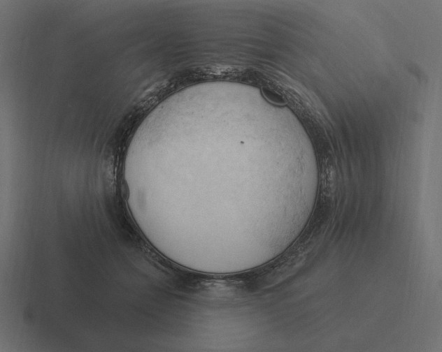 X0000116510558200912292146