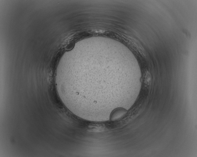 X0000116510559200912292146