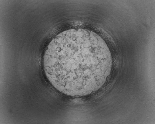 X0000116510561200912292146