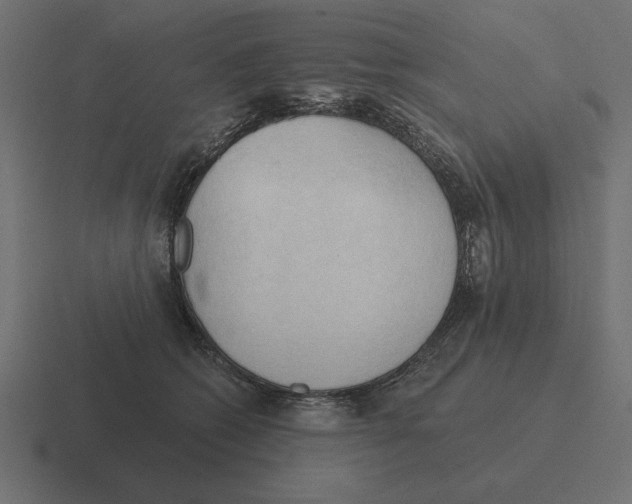 X0000116510562200912292146