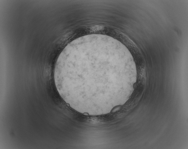 X0000116510565200912292146