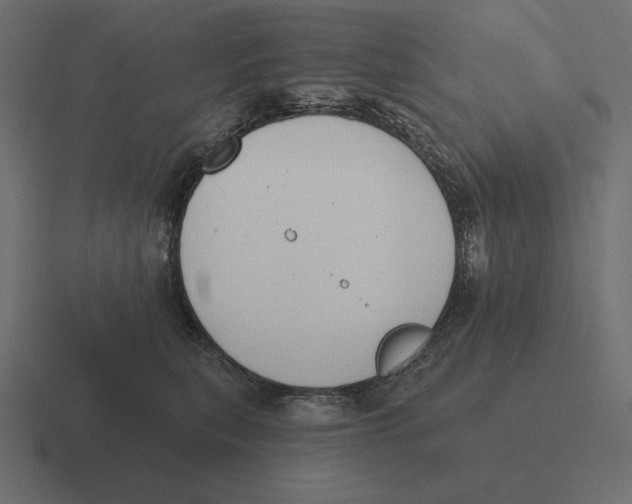 X0000116510567200912292146