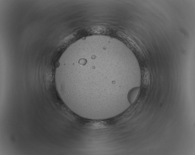 X0000116510569200912292146