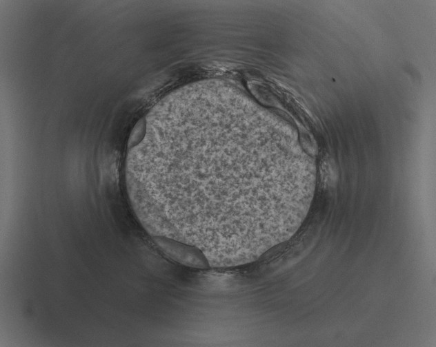 X0000116510570200912292146