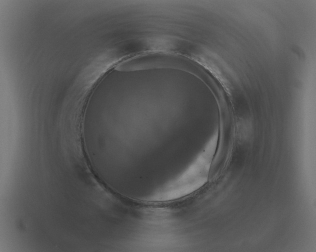 X0000116510577200912292146