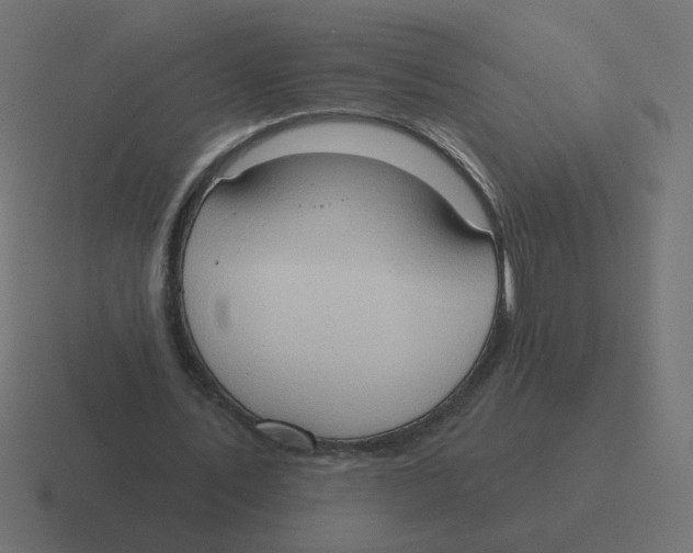 X0000116510579200912292146