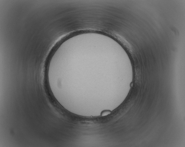 X0000116510580200912292146