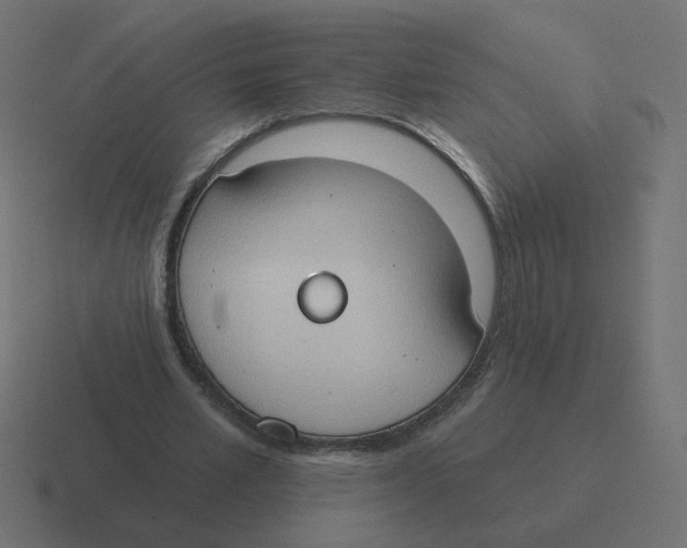 X0000116510581200912292146