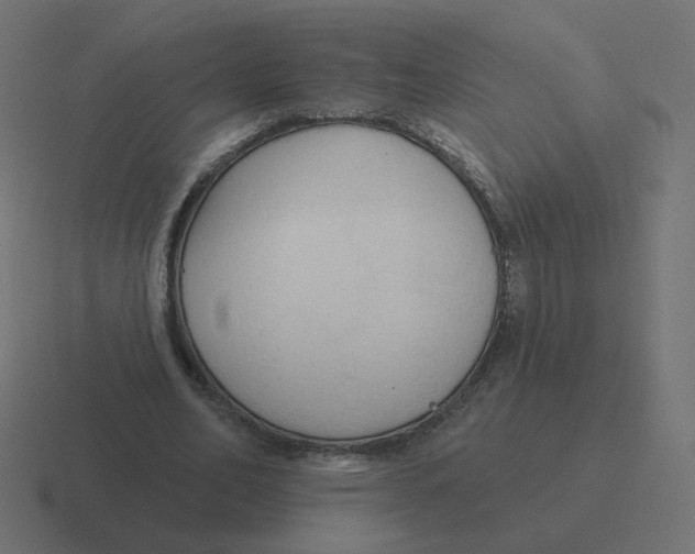 X0000116510582200912292146