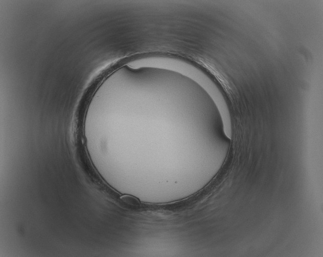 X0000116510583200912292146