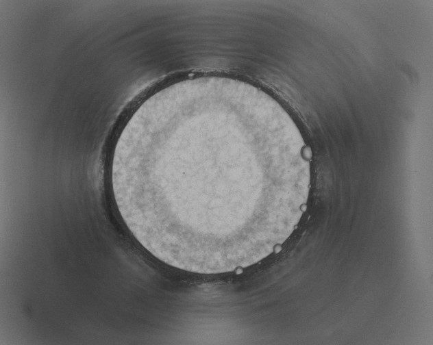 X0000116510584200912292146