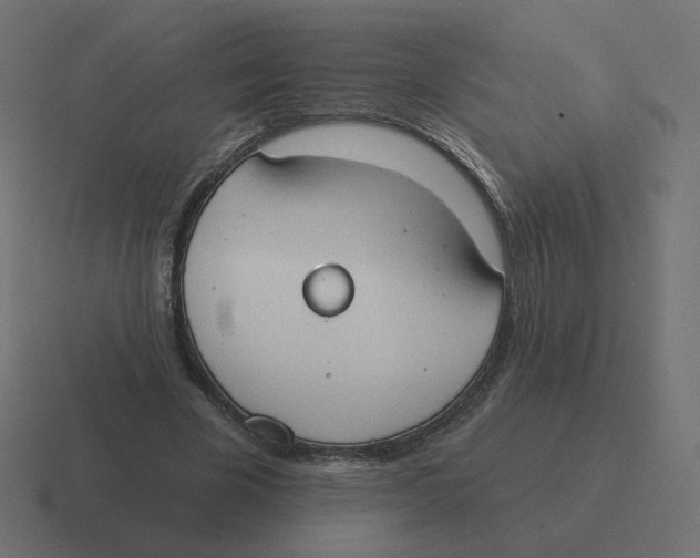 X0000116510585200912292146