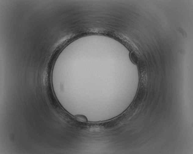 X0000116510587200912292146