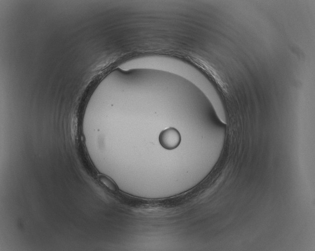 X0000116510589200912292146