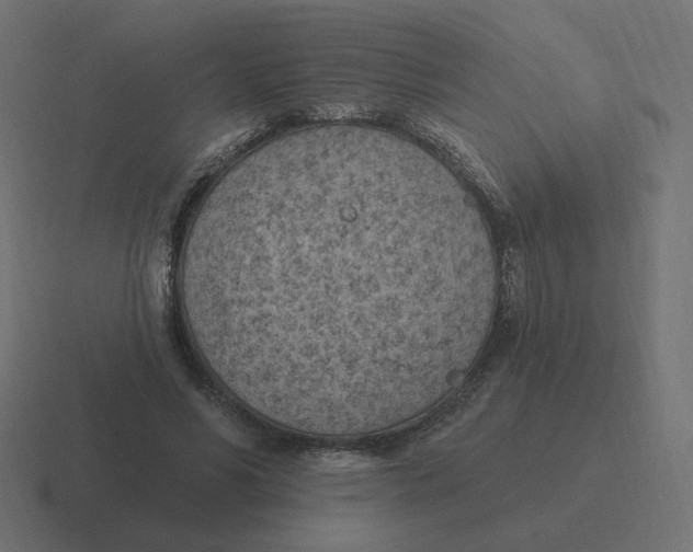 X0000116510590200912292146