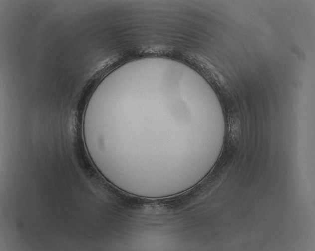 X0000116510591200912292146