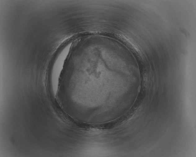 X0000116510592200912292146