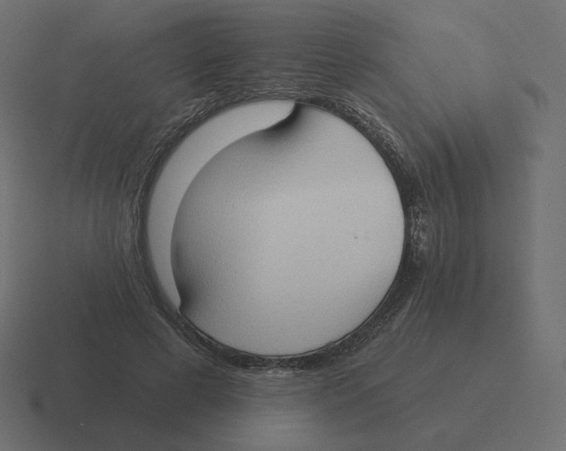 X0000116510593200912292146