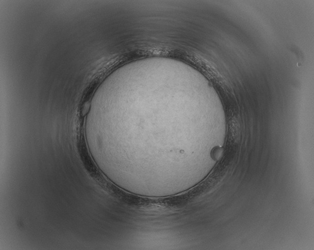 X0000116510594200912292146