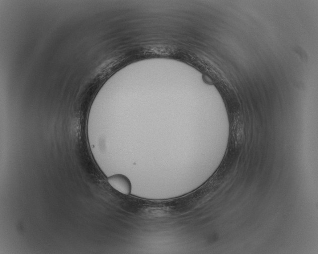 X0000116510595200912292146