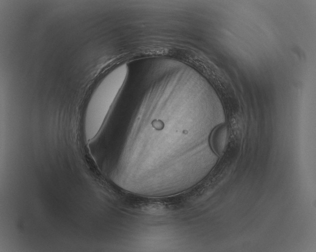 X0000116510600200912292146