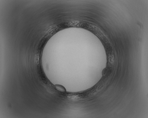 X0000116510602200912292146